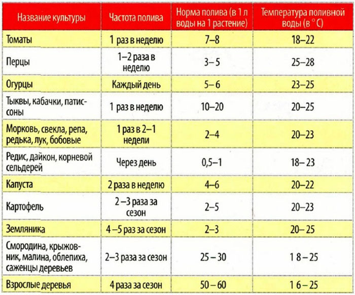 Жовтіють зав'язі огірків &ndash; чому та що з цим робити?