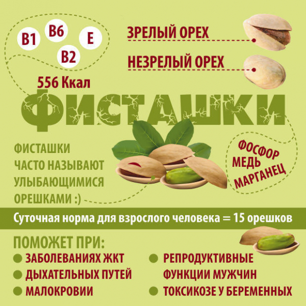 Де і як ростуть горіхи фісташки (40 фото)