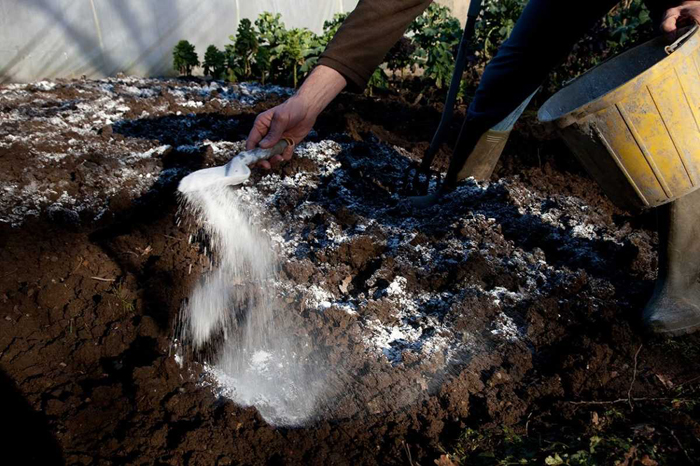 Добрива восени &ndash;, коли, як і які добрива вносять перед зимою