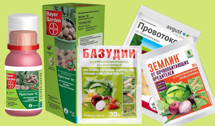 Як позбавитися від хруща &mdash; 12 способів і препаратів для боротьби з жуком і личинками