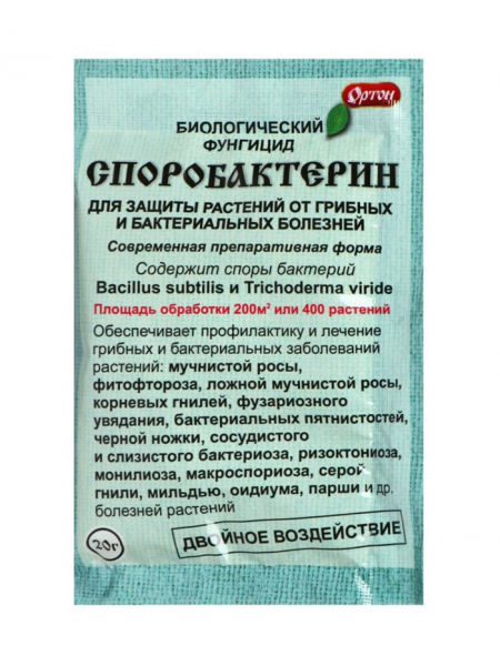 Чорна ніжка на розсаді &ndash; як боротися, чим обробити