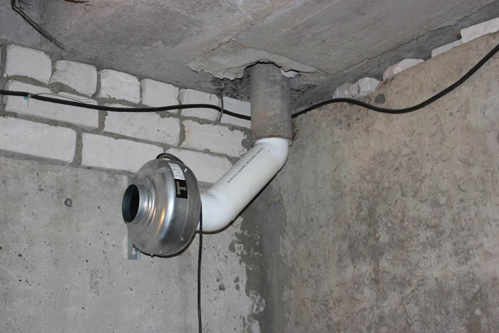 Цвіль у льоху чи підвалі &ndash; як позбутися, чим обробити