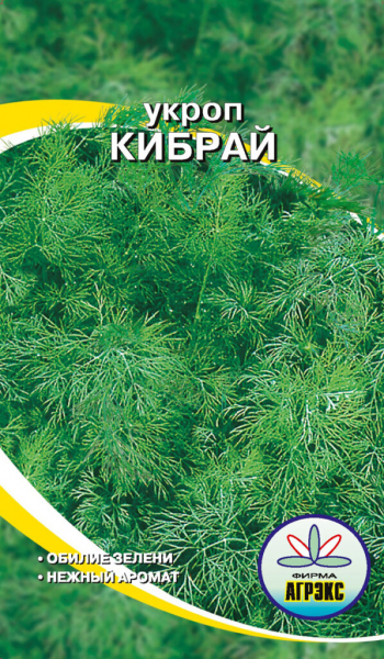 Сорти кропу &ndash; 25 найкращих сортів з фото та описом