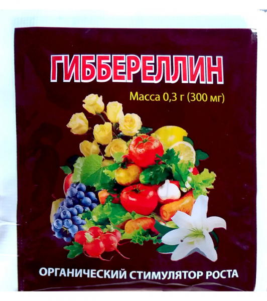 Гортензія (100 фото): опис, сорти, вирощування у відкритому ґрунті та домашніх умовах