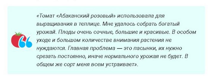 Томат Абаканський: опис сорту, відгуки, фото