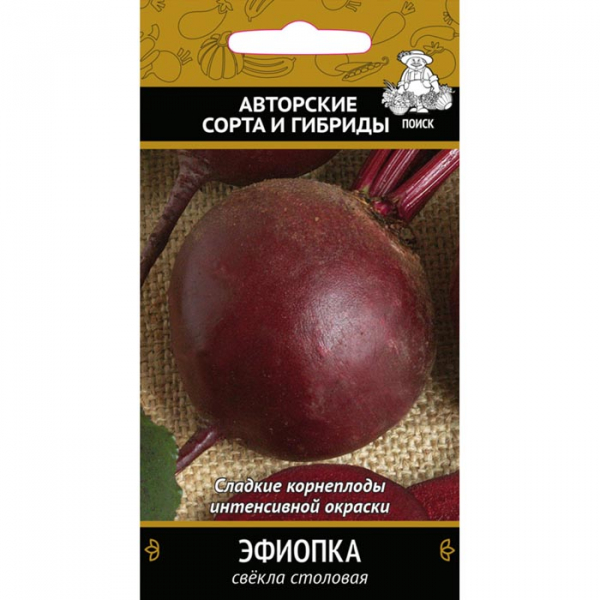 Сорти буряків – 60 найкращих сортів 2024 року
