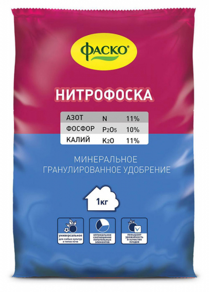 Томат сорту &laquo;Чудо&raquo; &mdash; опис, посадка, відгуки.
