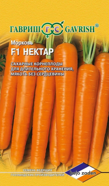 Морква &ndash; 75 сортів 2024 року: опис з фото