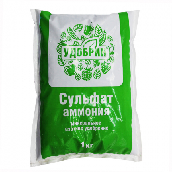 Як позбутися дротяника – 100% ефективні методи та засоби
