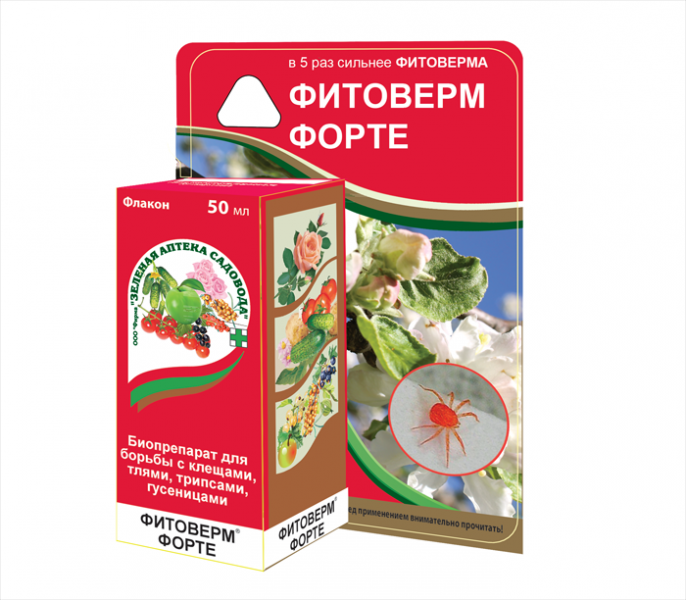 Томат Чорний принц: характеристика, опис сорту фото та відгуки