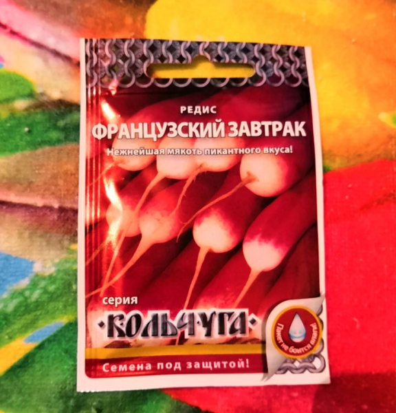 Як виростити редис у 2024 році
