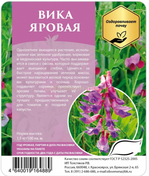 Сидерат Віка - переваги, коли і як садити для кращої родючості