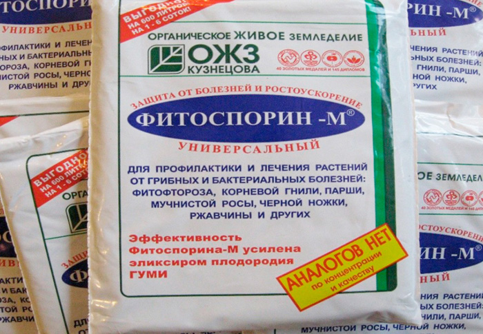 Як і чим розкислити ґрунт на городі - 6 ефективних методів