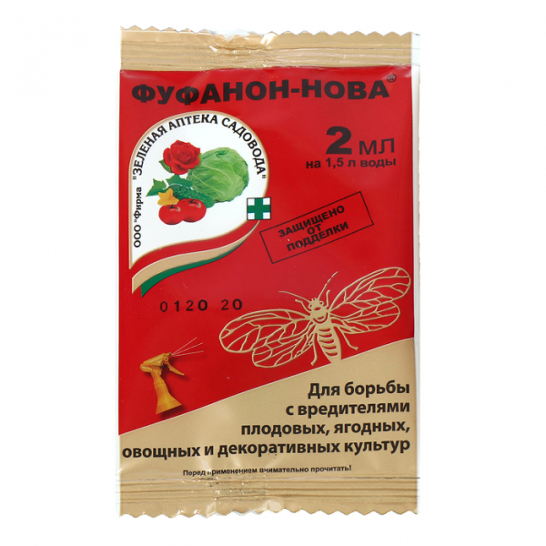 Як позбутися попелиці на городі та саду &mdash; ефективні препарати та народні засоби