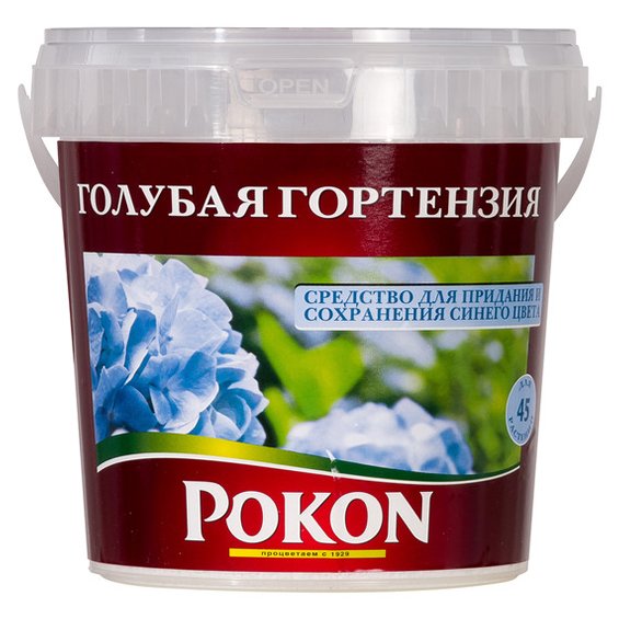 Крупнолиста гортензія (100 фото): опис, сорти, посадка та догляд