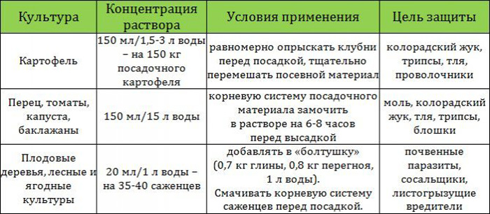 Колорадський жук: перевірені засоби та препарати для боротьби зі шкідником