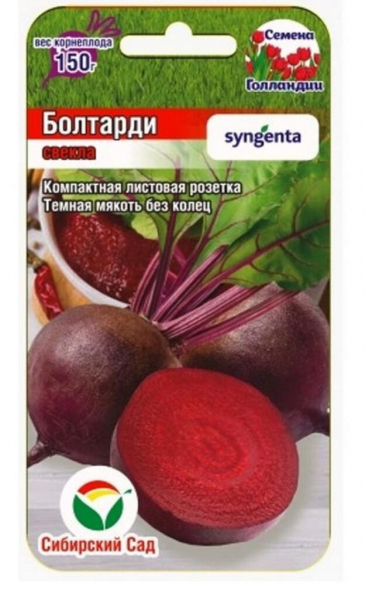 Сорти буряків – 60 найкращих сортів 2024 року