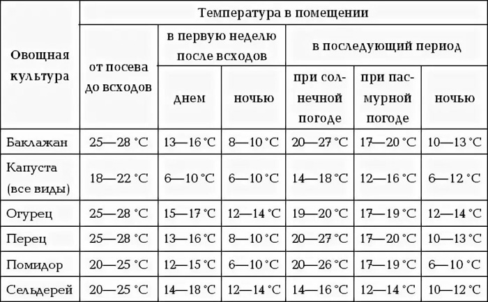 Чому витягується розсада &ndash; 5 причин та їх вирішення