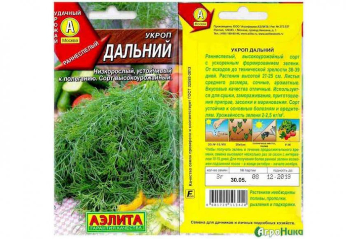 Сорти кропу &ndash; 25 найкращих сортів з фото та описом
