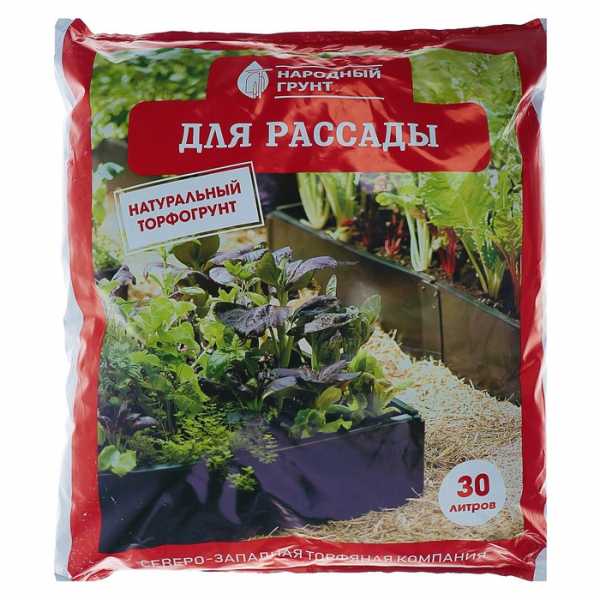 Мікрозелень редиски - користь, як виростити в домашніх умовах