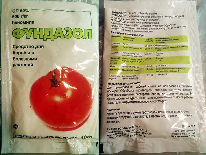 Хлороз малини: опис хвороби, фото та лікування