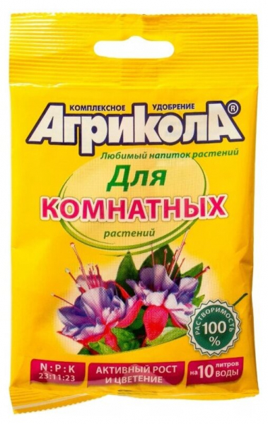 Аглаонема в домашніх умовах &mdash; опис, догляд, фото квітки