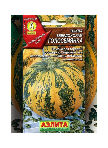 Як зберігати гарбуз &mdash; 6 робочих способів