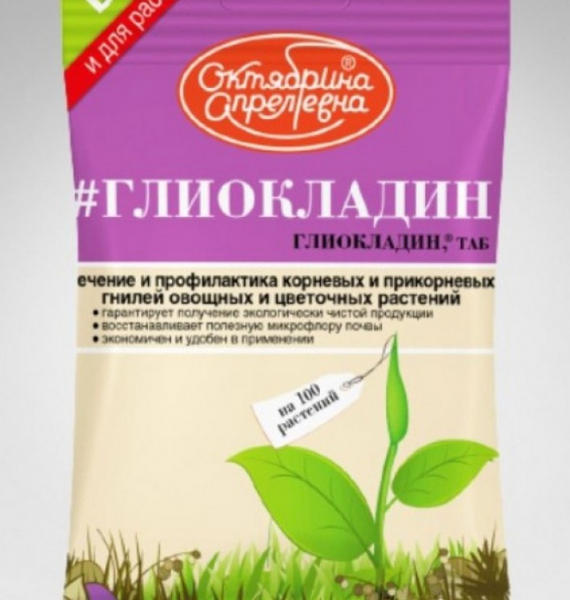 Крупа кіноа &ndash; що це? Від А до Я про кіноа: вирощування, користь, як готувати (30 фото)