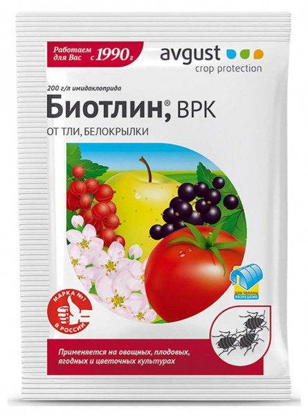 Попелиця: як виглядає і чим боротися? Рейтинг коштів 2024