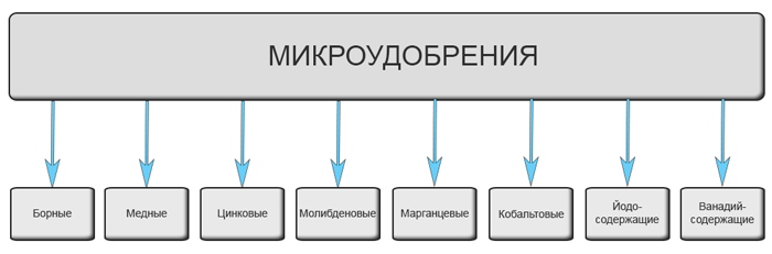 Підживлення томатів &ndash; чим і коли підгодовувати помідори: схеми та дозування