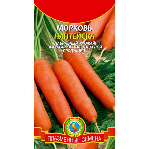 Як зберігати моркву &mdash; 20 ефективних способів