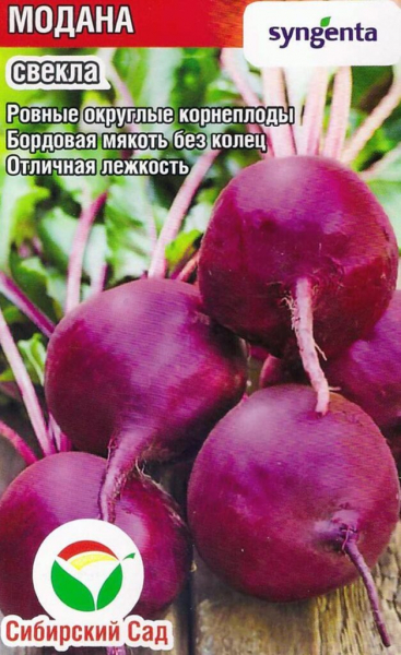 Сорти буряків – 60 найкращих сортів 2024 року