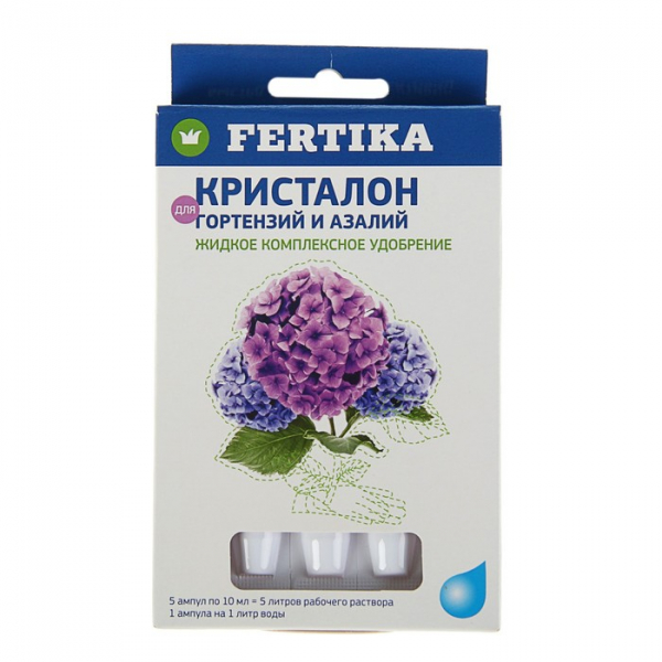 Гортензія волотиста Фрайз Мельба (50 фото) — опис, посадка та догляд
