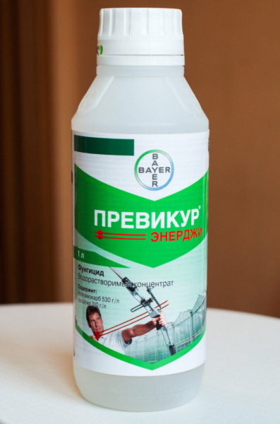Фунгіцид Превікур Енерджі - інструкція із застосування для 100% ефективності