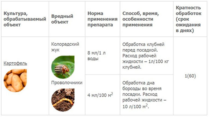Колорадський жук: перевірені засоби та препарати для боротьби зі шкідником