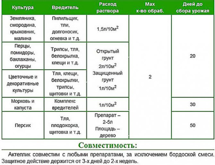 Жук-довгоносик – чим небезпечний і як його позбутися