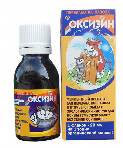 Компост: що це та як його зробити