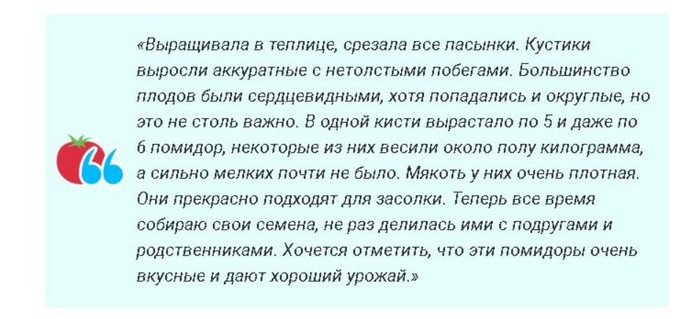 Томат Абаканський: опис сорту, відгуки, фото
