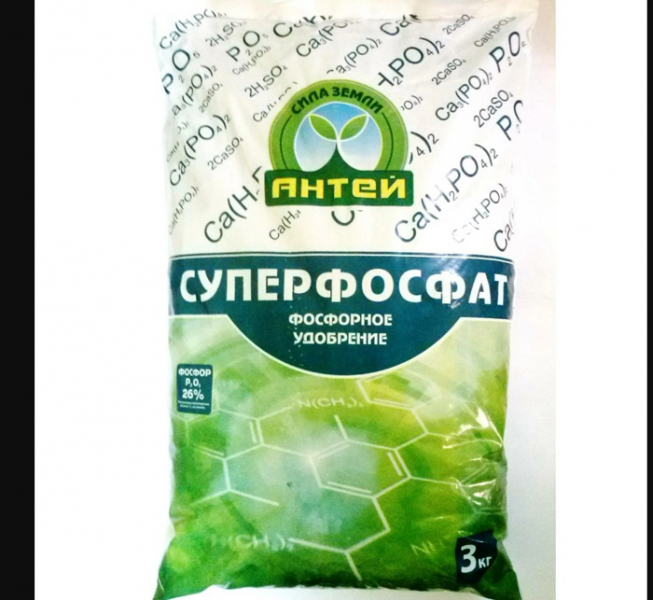 Томат &laquo;Сливка&raquo; (45 фото) &mdash; опис сорту, вирощування в теплиці та відкритому ґрунті у 2024 році.