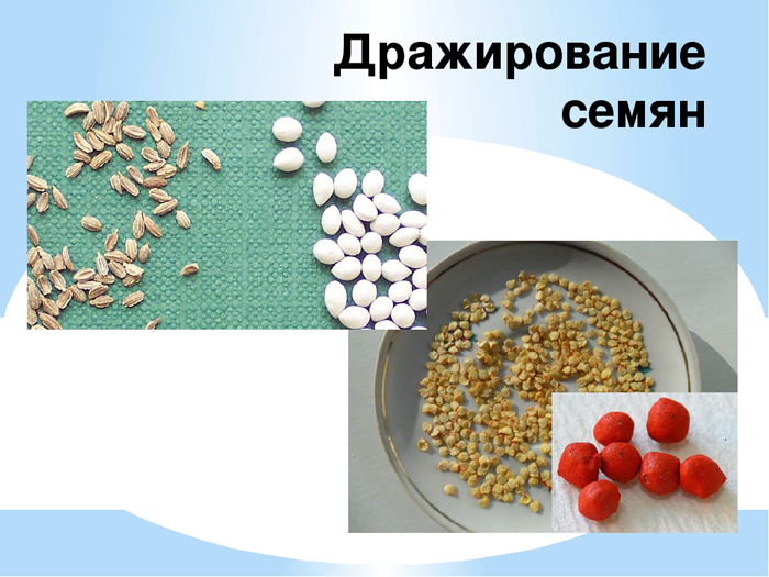 Фунгіцид Максим &mdash; інструкція із застосування, відгуки