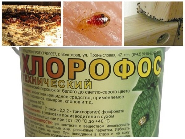 Чим краще цькувати постільних клопів: 10 кращих засобів