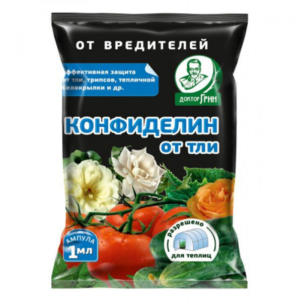 Попелиця: як виглядає і чим боротися? Рейтинг коштів 2024