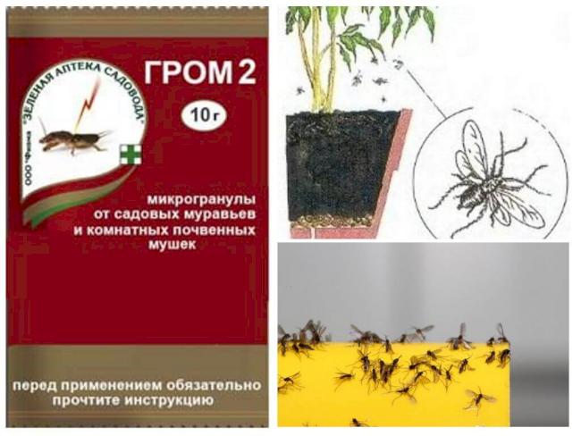 Що ефективно допомагає від мошкари