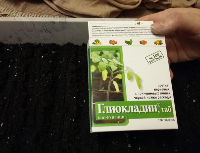 Гліокладин &mdash; інструкція щодо застосування та відгуки про ґрунтовий фунгіцид