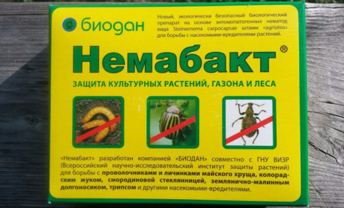 Як позбавитися від хруща &mdash; 12 способів і препаратів для боротьби з жуком і личинками
