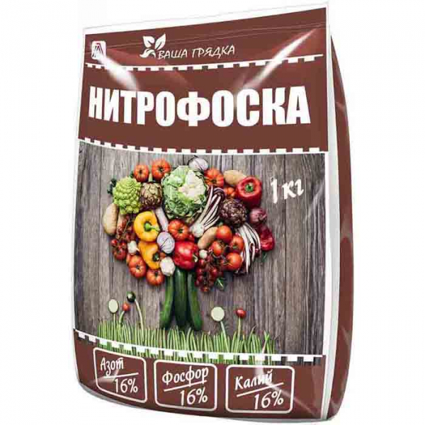 Томат &laquo;Сливка&raquo; (45 фото) &mdash; опис сорту, вирощування в теплиці та відкритому ґрунті у 2024 році.