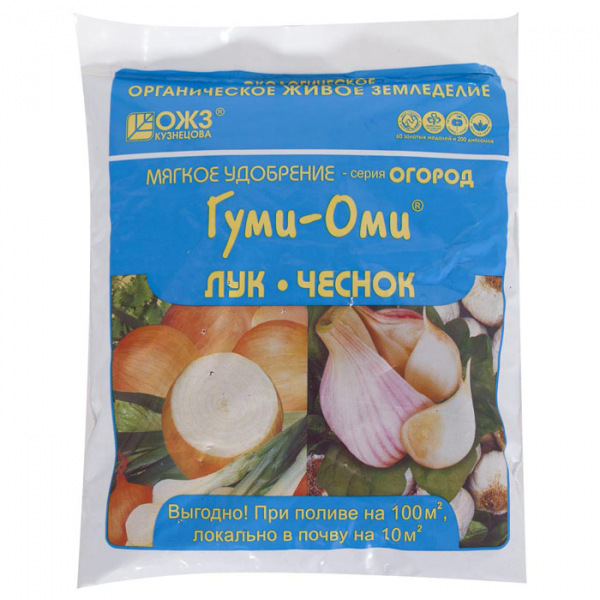 Як виростити цибулю на підвіконні