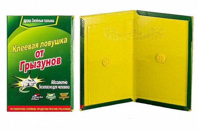 5 способів, як назавжди позбутися щурів у сараї