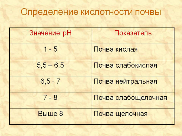 Зола як добриво - секрети правильного використання