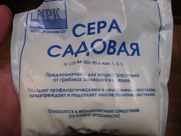 Як підкислити ґрунт &ndash; основні способи для лохини, гортензії, хвойних.